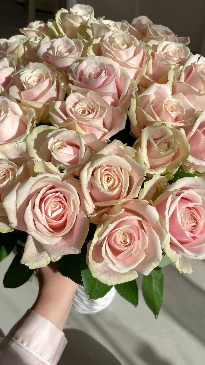 Morning Dew Splendor: A Bouquet of Freshness
